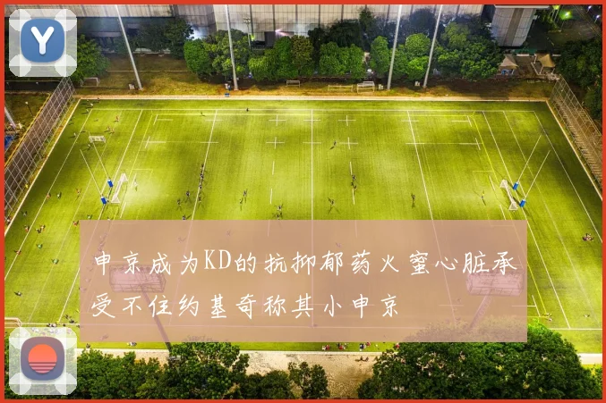 申京成为KD的抗抑郁药火蜜心脏承受不住约基奇称其小申京