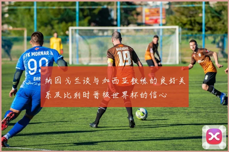 纳因戈兰谈与加西亚教练的良好关系及比利时晋级世界杯的信心