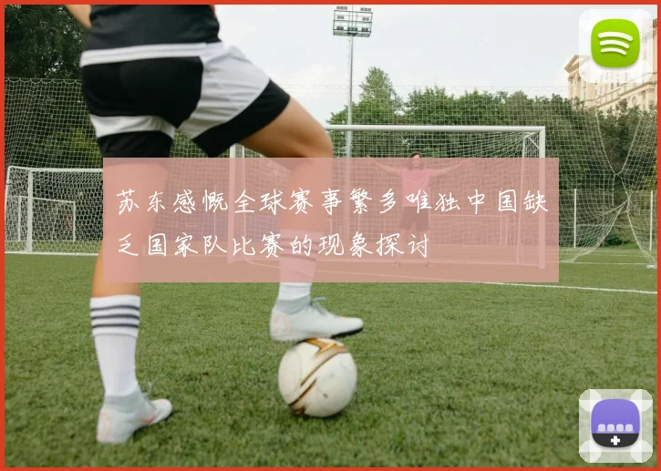 苏东感慨全球赛事繁多唯独中国缺乏国家队比赛的现象探讨