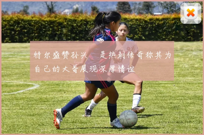 特尔盛赞孙兴慜是热刺传奇称其为自己的大哥展现深厚情谊