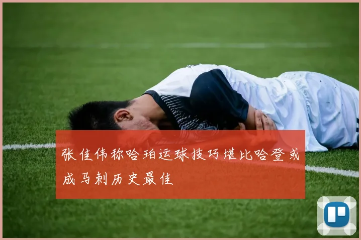 张佳伟称哈珀运球技巧堪比哈登或成马刺历史最佳